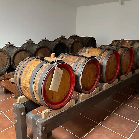 Balsamico 2 - Near Ferrari Museum & Railway Modena